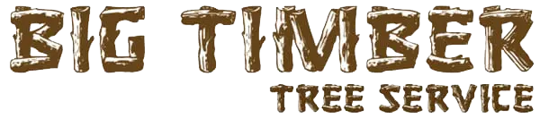 big timber tree service Logo